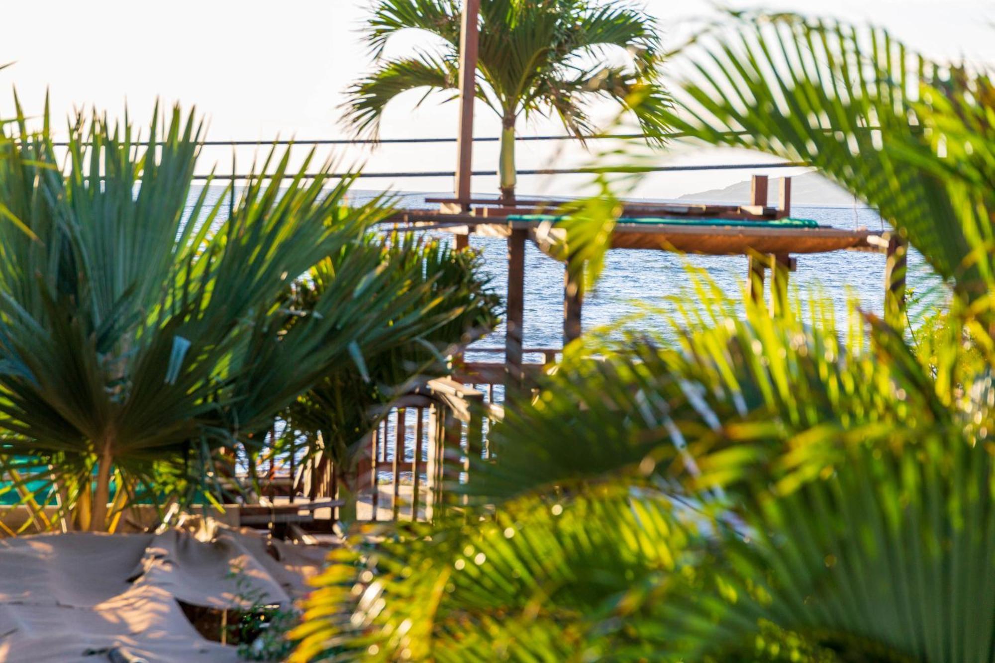 Bamboo Suite, 1 Bedroom, Sleeps 4, Pool & Bbq, Pre-Renovation Summer Sale Kihei Exteriör bild