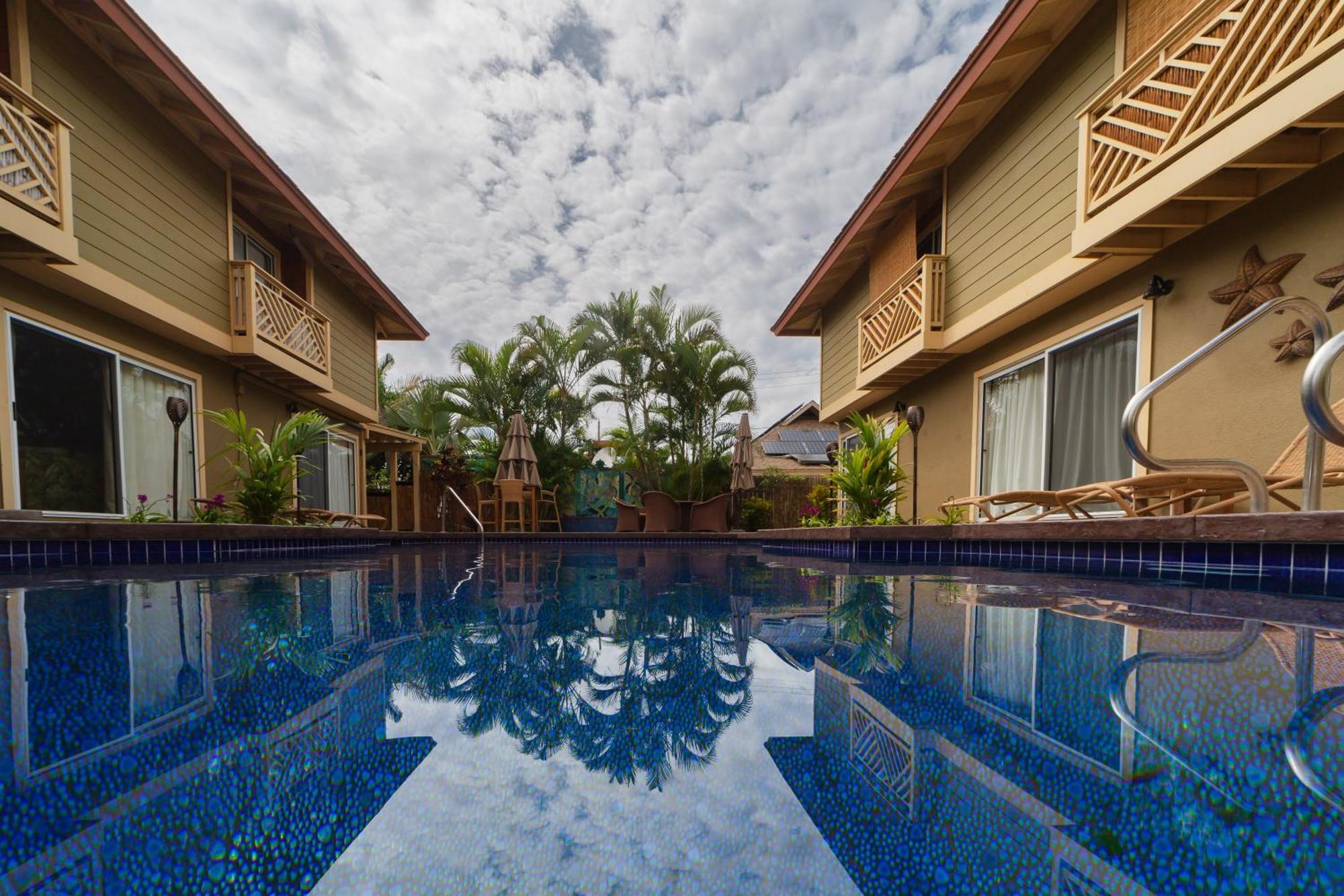Bamboo Suite, 1 Bedroom, Sleeps 4, Pool & Bbq, Pre-Renovation Summer Sale Kihei Exteriör bild